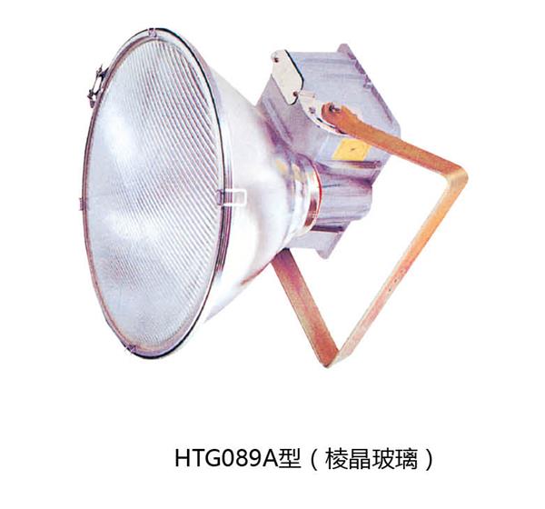 HTG089ϵ VƟ